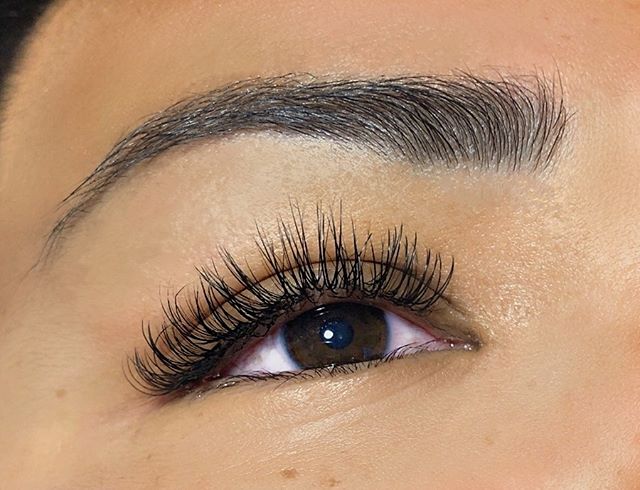 stacy-lash-blog-article-1.jpg